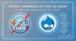Drupal Commerce Performance: Chiến Lược Scaling, Caching và Database Optimization Từ Centarro