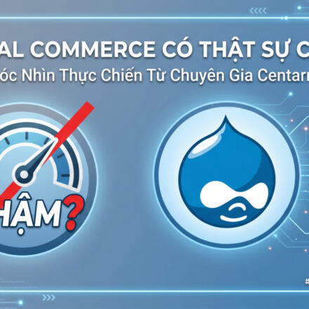 Drupal Commerce Performance: Chiến Lược Scaling, Caching và Database Optimization Từ Centarro